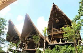 bamboo house