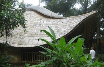 bamboo house