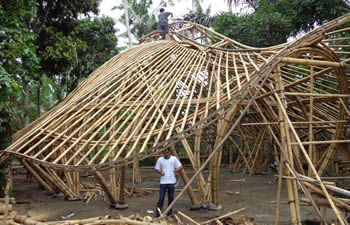 bamboo house