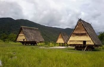 central sulawesi house